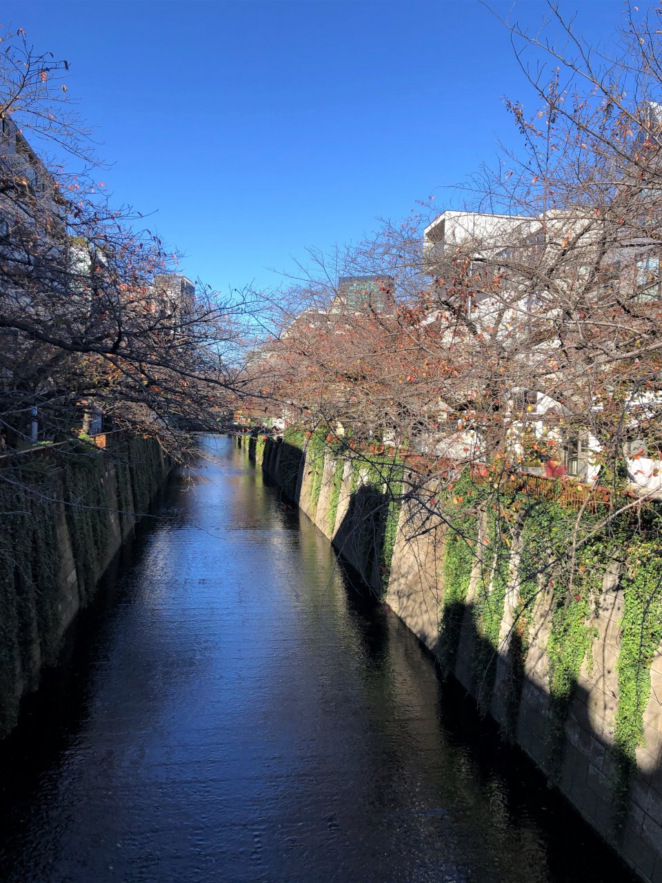 見慣れた風景の画像